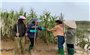 Hoàn thiện cơ chế cho khuyến nông trong bối cảnh mới
