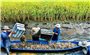Nông nghiệp phía Nam tăng tốc chuyển đổi xanh, hướng tới phát triển bền vững