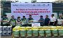 Trung tâm Khuyến nông Quốc gia đồng hành cùng nông dân khắc phục hậu quả thiên tai, ổn định sản xuất