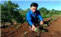 Những đảng viên trẻ đẩy nhiệt huyết ở Gia Lai