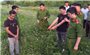 Thanh Hóa chỉ đạo xử lý nghiêm vụ xâm phạm lăng mộ vua Lê Túc Tông