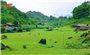 Nhịp sống yên bình ở Phìn Giàng A