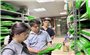 Bộ Y tế triển khai tháng cao điểm kiểm tra về dược, mỹ phẩm, thực phẩm chức năng, thiết bị y tế
