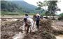 Thủ tướng Chính phủ yêu cầu tập trung ứng phó nguy cơ sạt lở đất, lũ quét, ngập lụt cục bộ ở Bắc Bộ