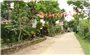 Quảng Nam: Huyện Tiên Phước được Công nhận đạt chuẩn Huyện nông thôn mới