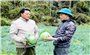 Nông dân vùng cao Hà Giang thu nhập cao từ cải tạo vườn tạp
