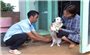 Gia Lai: Tăng cường các biện pháp kiểm soát bệnh dại trên người