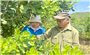 Kon Tum: Hỗ trợ sinh kế, tạo động lực giúp đồng bào DTTS vươn lên thoát nghèo