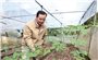 Đảng viên A Năng – Thay đổi nếp nghĩ, cách làm vươn lên làm giàu