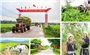 Kế hoạch tổng kết Chương trình MTQG xây dựng nông thôn mới giai đoạn 2021 - 2025