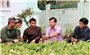 Quảng Ngãi: Xã vùng cao Đại hội, tiếp nhận hơn 130.000 ngàn cây giống tặng đồng bào Xơ Đăng nghèo