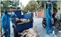 Đà Nẵng: Chủ tịch xã, phường chịu trách nhiệm nếu dịch tả lợn lan rộng