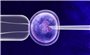 Phụ nữ độc thân có nguyện vọng sinh con sẽ được làm IVF từ 1/10