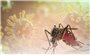 Dịch bệnh Chikungunya đang lây toàn cầu, Bộ Y tế khuyến cáo khẩn các biện pháp phòng, chống