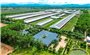 Vinamilk được xếp hạng thương hiệu AAA+: Khẳng định vị thế Việt Nam trong ngành sữa thế giới