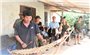 Về làng trải nghiệm nét văn hóa truyền thống