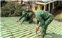 Bão số 5 đã áp sát đất liền, các địa phương chuẩn bị sẵn sàng ứng phó