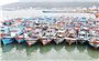 Đà Nẵng chủ động ứng phó bão số 5