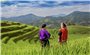 Ruộng bậc thang - Tuyệt tác giữa đại ngàn Tuyên Quang
