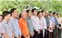 Tưởng niệm nạn nhân Làng Nủ thiệt mạng do cơn bão Yagi