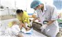 Đắp thuốc Nam lên vết mèo cào, bé trai suy đa tạng