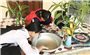 Khánh Hòa đã có 2 trường hợp tử vong do sốt xuất huyết