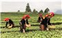Lào Cai phấn đấu hết năm 2025 có gần 500 thôn ra khỏi diện đặc biệt khó khăn