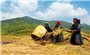 Thúc đẩy chính sách hỗ trợ tạo việc làm, giúp người lao động tiếp cận chính sách hỗ trợ hiệu quả