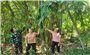 Đồng bào Mường ở Thiết Giang trồng cây măng Bum để nâng cao đời sống