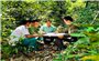 Người dân Canh Liên có thu nhập ổn định nhờ nhận giao khoán rừng