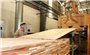 Đánh thức “Vàng xanh” xứ Nghệ bằng chiến lược lâm nghiệp công nghệ cao