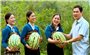 Mùa dưa hấu ngọt ở vùng biên xứ Thanh