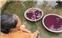 Thanh Hóa: Làm rõ vụ nước giếng khoan đổi màu tím, bốc mùi hôi thối