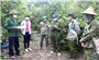 Thanh Hoá: Tạo dấu ấn trong dịch vụ môi trường rừng