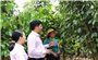 Đắk Nông: Hiệu quả thực hiện tín dụng chính sách xã hội