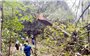 Thanh Hóa: Liên tiếp xảy ra các vụ phá rừng ở Quan Sơn
