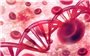 Mỹ phê duyệt liệu pháp gene đầu tiên chữa trị bệnh rối loạn đông máu