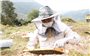 Nuôi ong lấy mật, hướng phát triển kinh tế tiềm năng ở Lai Châu