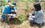 Phú Yên: Phấn đấu trở thành trung tâm cây dược liệu cả nước vào năm 2050