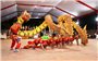 Khai mạc giải Vô địch các đội mạnh lân - sư - rồng toàn quốc năm 2025