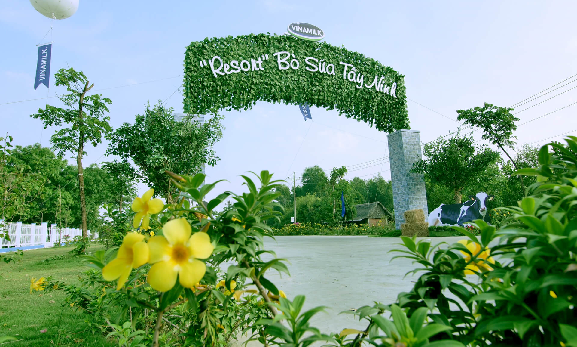 Không chỉ gây ấn tượng với quy mô lớn và sự hiện đại, trang trại của Vinamilk tại Tây Ninh còn được biết đến với không gian xanh mát, lý tưởng như “resort”