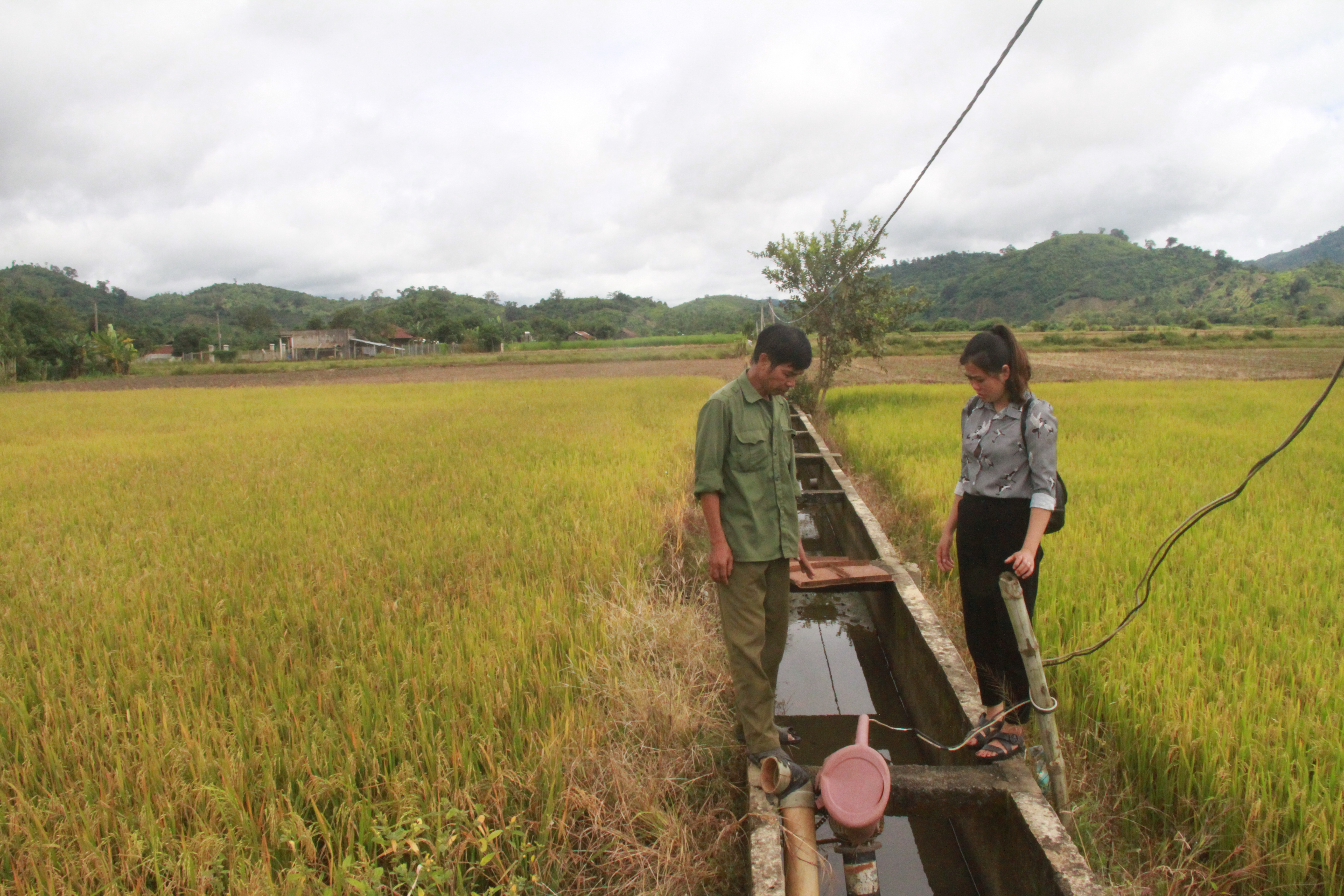 Hệ thống kênh mương giúp dân chủ động nước tưới, tăng năng xuất lúa