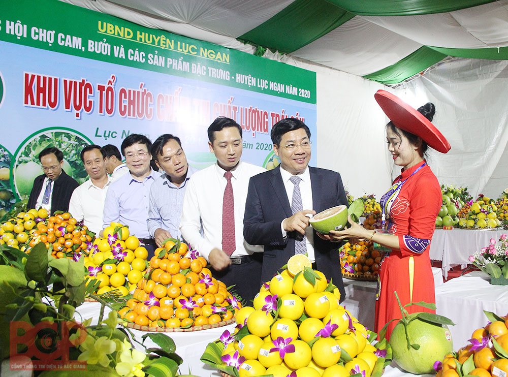 Các đồng chí lãnh đạo tỉnh Bắc Giang, huyện Lục Ngạn tham quan gian trưng bày sản phẩm trái cây.