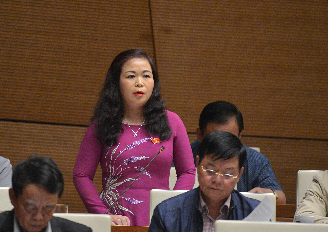 Đại biểu Vũ Thị Lưu Mai - Đoàn Đại biểu Quốc hội Hà Nội