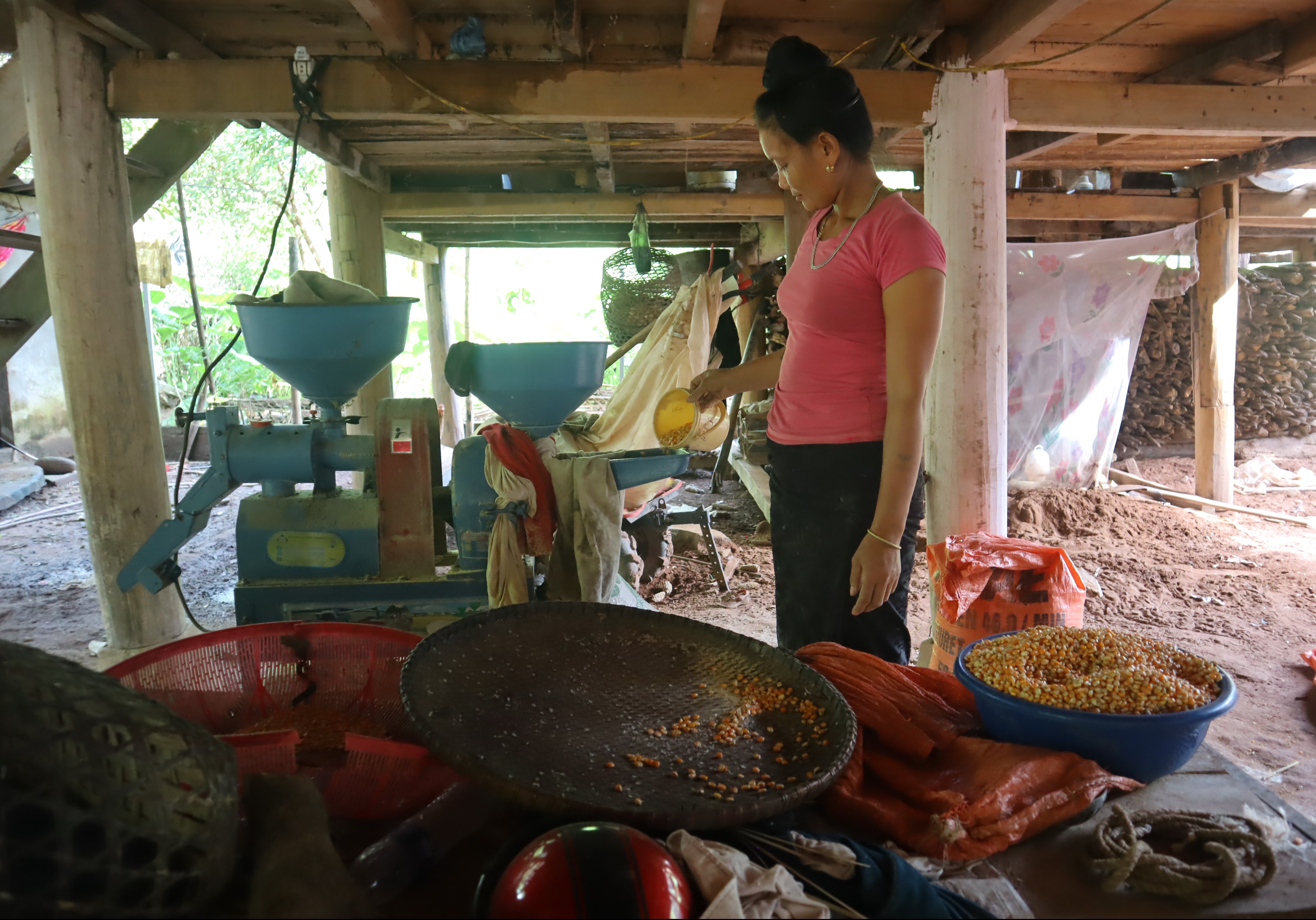 Những chiếc máy xay ngô giúp bà con ở bản Nậm Kè, xã Nậm kè, huyện Mường Nhé chăn nuôi dễ dàng hơn.