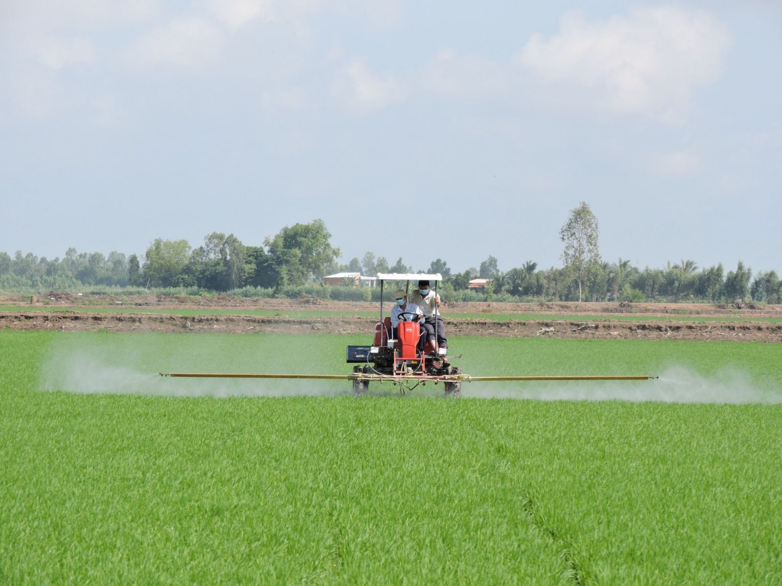 Tổng kết mô hình liên kết sản xuất lúa chất lượng theo hướng hữu cơ gắn với  tiêu thụ sản phẩm vụ xuân tại xã Yên Phong  Cổng thông tin điện
