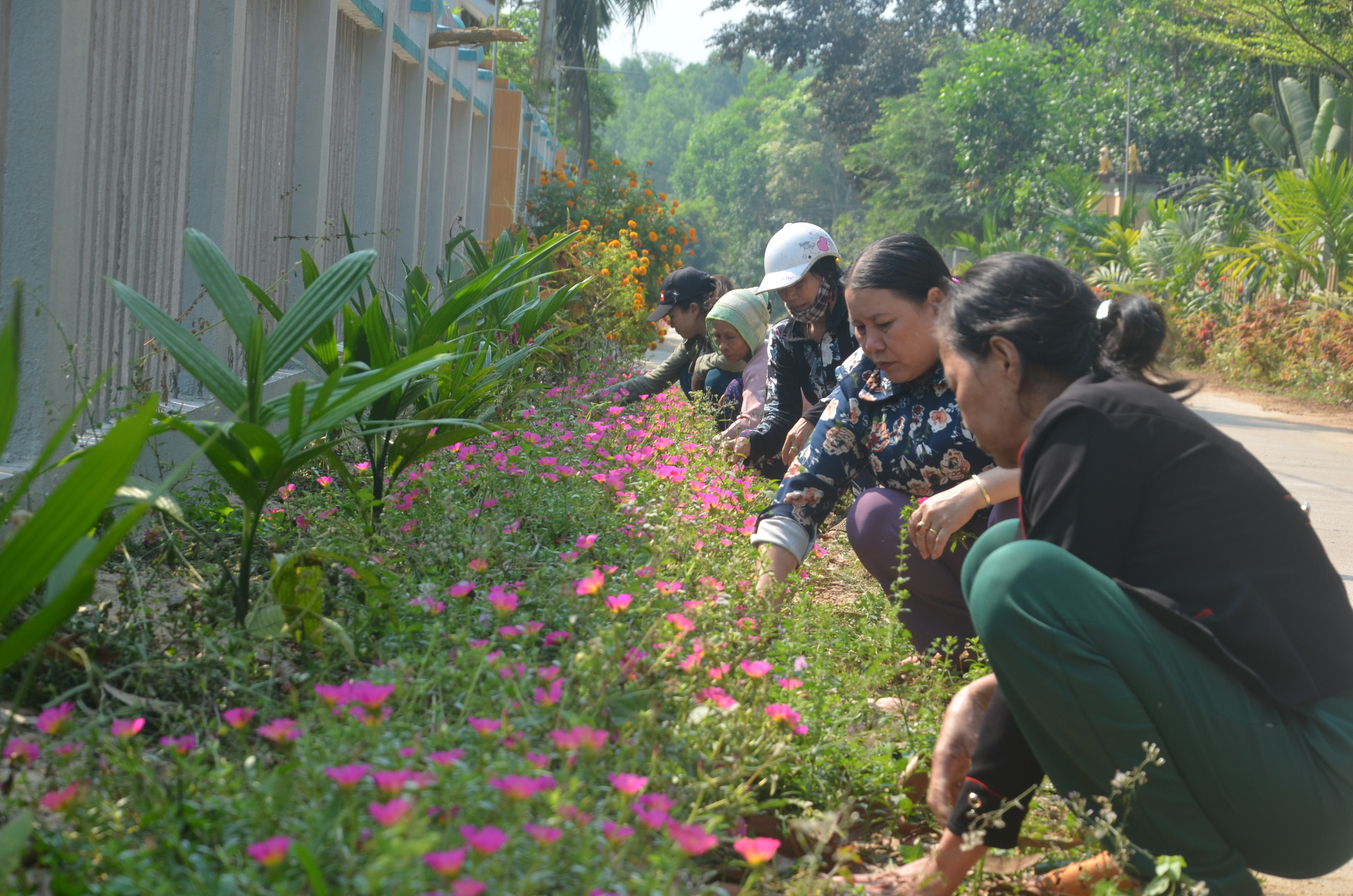 Thực hiện chương trình xây dựng NTM, nhiều khu dân cư ở miền núi Quảng Ngãi đã thay đổi diện mạo (trong ảnh mô hình đường hoa ở huyện Trà Bồng)