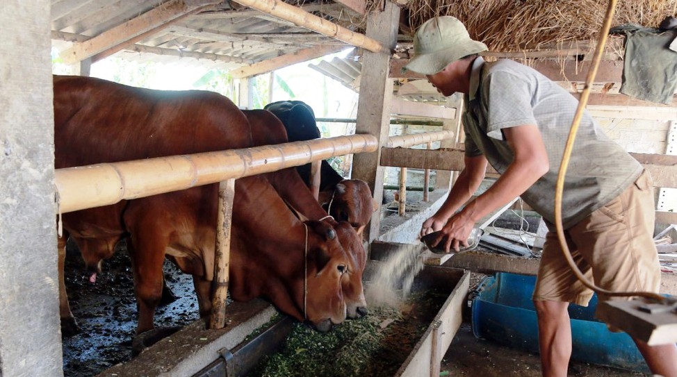 Mô hình chăn nuôi bền vững ở xã NTM Tam Quang, huyện Tương Dương