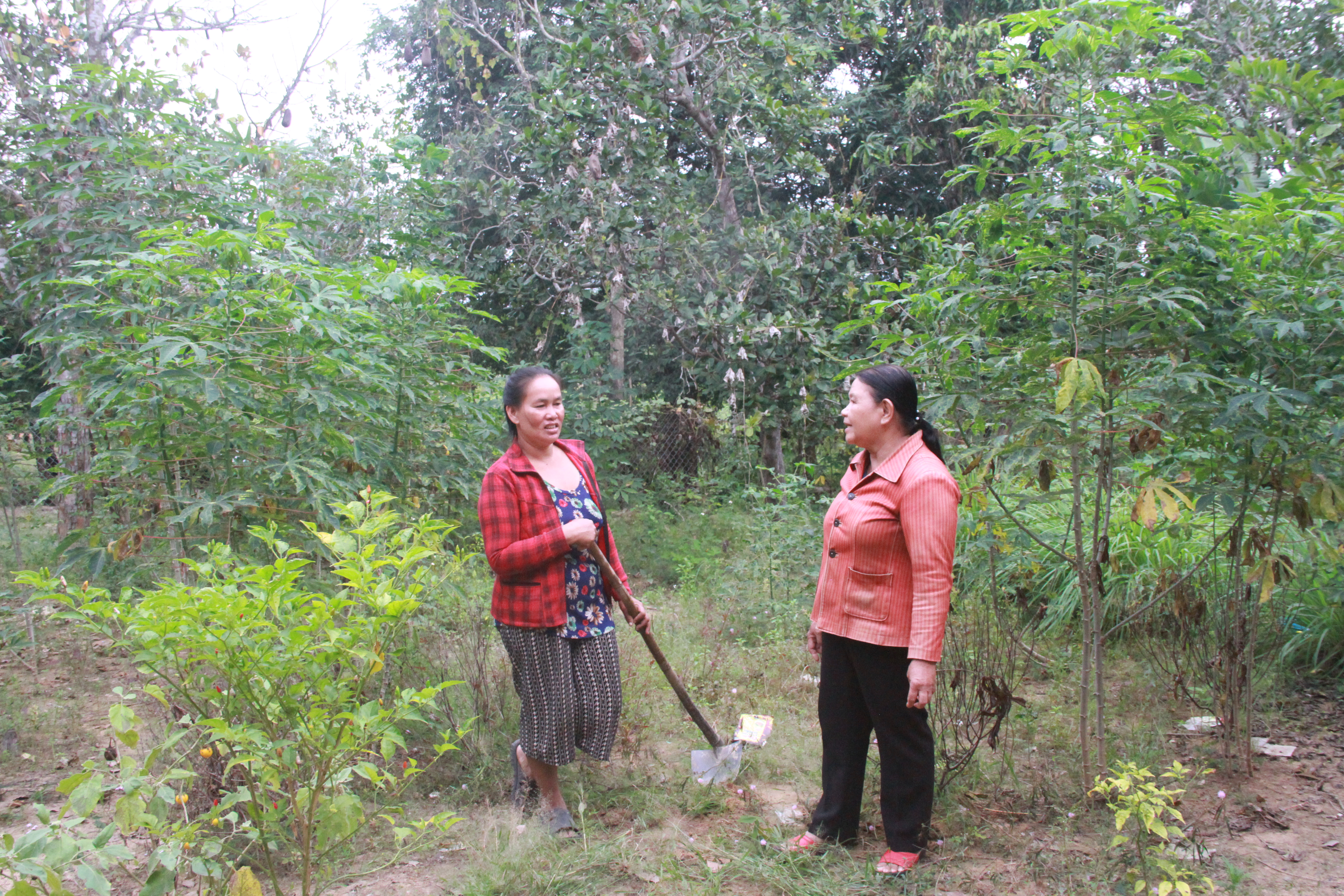 Bà H’Num Knul (bên trái) đã được cấp đất nhưng giờ vẫn không có đất sản xuất
