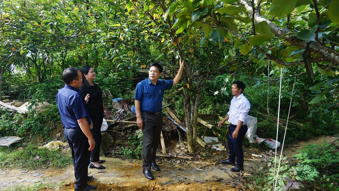 Đại diện lãnh đạo Vụ Tuyên truyền (UBDT) và Ban Dân tộc tỉnh Lào Cai Thăm mô hình trồng cây ăn quả ôn đới tại xã Quan Hồ Thẩn, huyện Si Ma Cai.